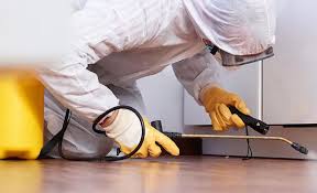 Best Pest Control for Multi-Family Homes  in Perry, LA